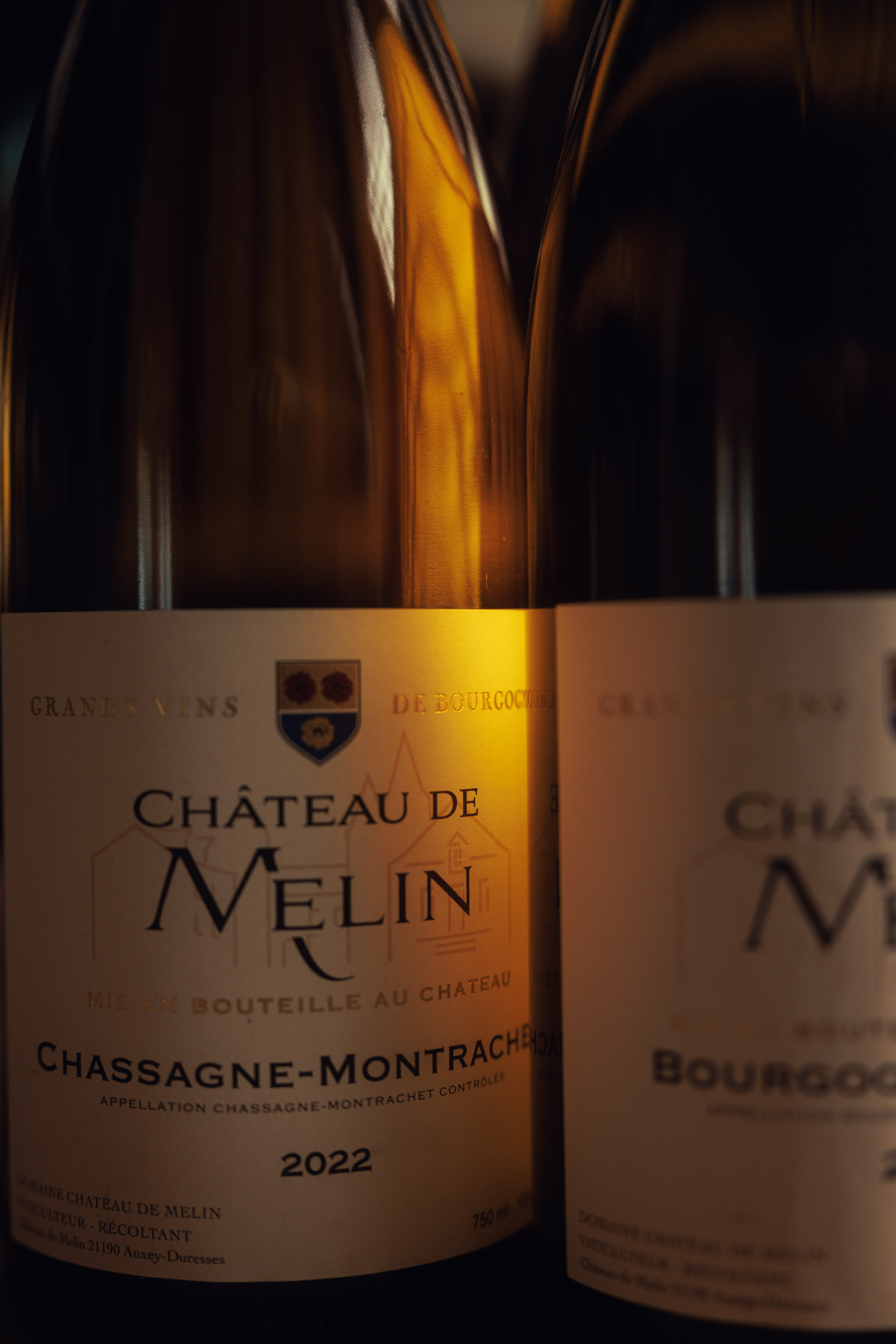Chateau de Melin 2022 2本セット 4V6A9507 (1).jpg